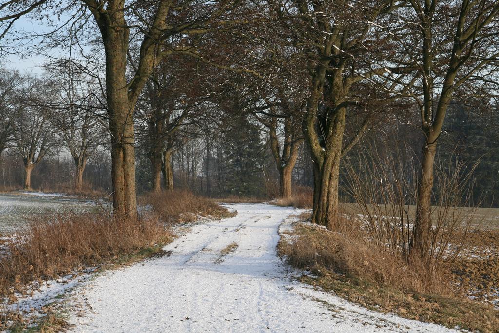Modena Gasthuis Bad Steben